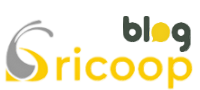 Blog di Bricoop